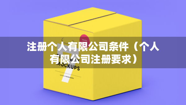 注册个人有限公司条件（个人有限公司注册要求）