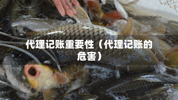 代理记账重要性（代理记账的危害）