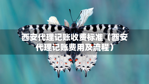 西安代理记账收费标准(西安代理记账费用及流程) 西安代理记账收费标准(西安代理记账费用及流程)