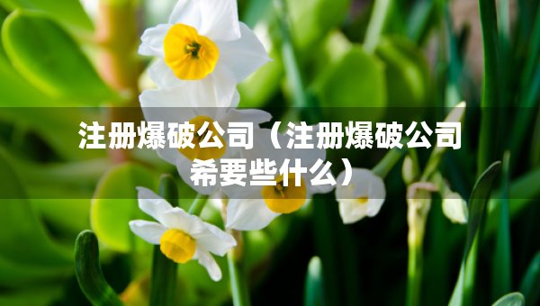 注册爆破公司（注册爆破公司希要些什么）