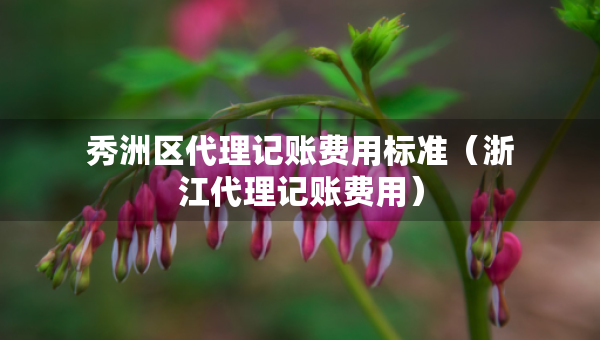 秀洲区代理记账费用标准（浙江代理记账费用）