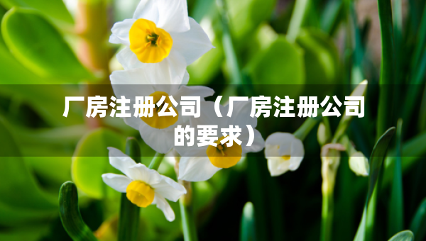 厂房注册公司（厂房注册公司的要求）