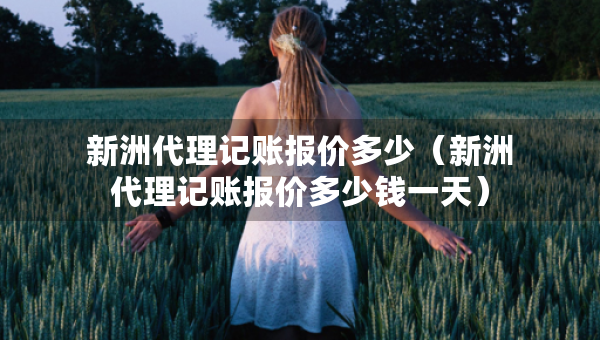 新洲代理记账报价多少（新洲代理记账报价多少钱一天）