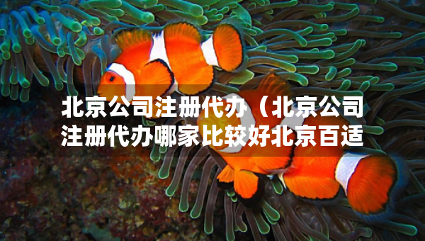 北京公司注册代办（北京公司注册代办哪家比较好北京百适科技有限公司）