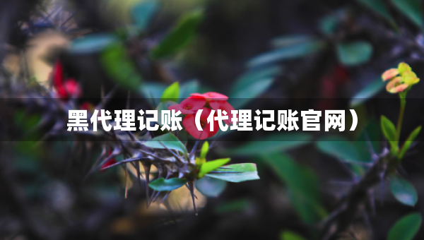 黑代理记账（代理记账官网）