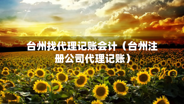 台州找代理记账会计（台州注册公司代理记账）