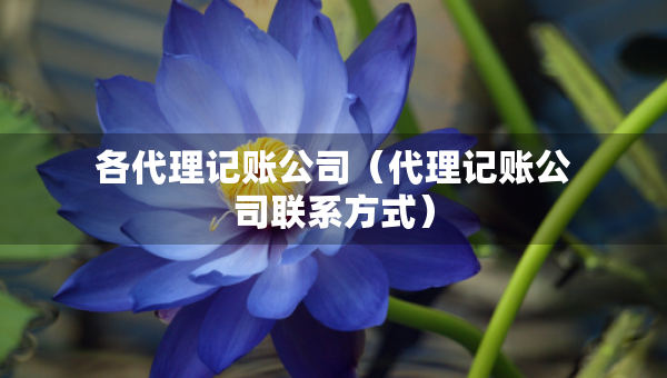 各代理记账公司（代理记账公司联系方式）