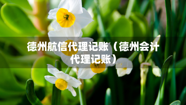 德州航信代理记账（德州会计代理记账）