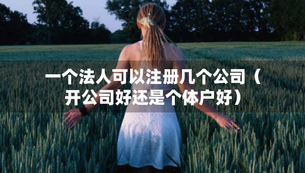 一个法人可以注册几个公司（开公司好还是个体户好）