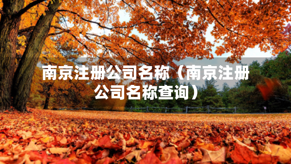 南京注册公司名称（南京注册公司名称查询）