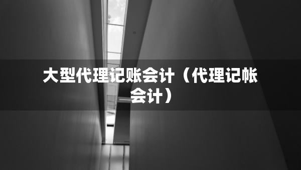 大型代理记账会计（代理记帐会计）
