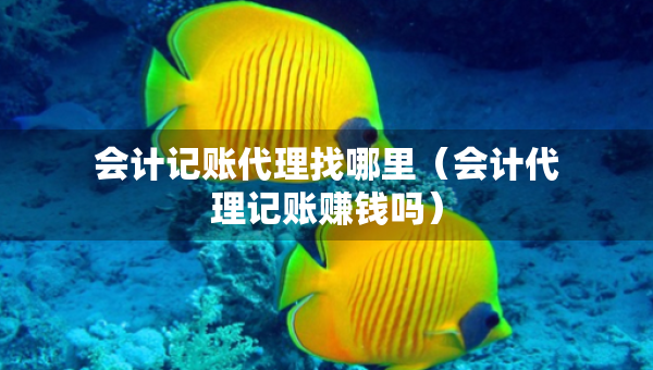 会计记账代理找哪里(会计代理记账赚钱吗) 会计记账代理找哪里(会计代理记账赚钱吗)