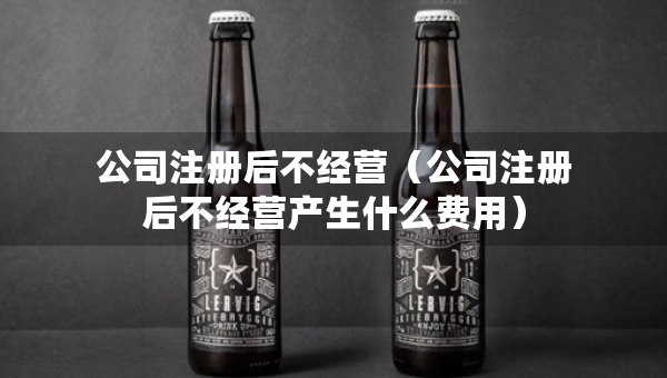 公司注册后不经营（公司注册后不经营产生什么费用）