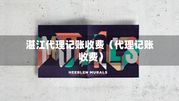 湛江代理记账收费（代理记账 收费）