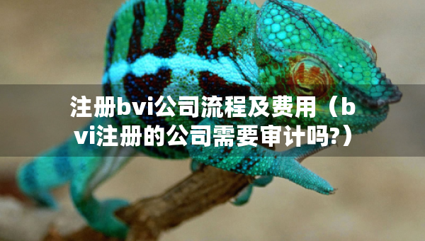 注册bvi公司流程及费用（bvi注册的公司需要审计吗?）