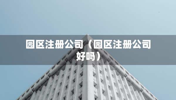 园区注册公司（园区注册公司好吗）