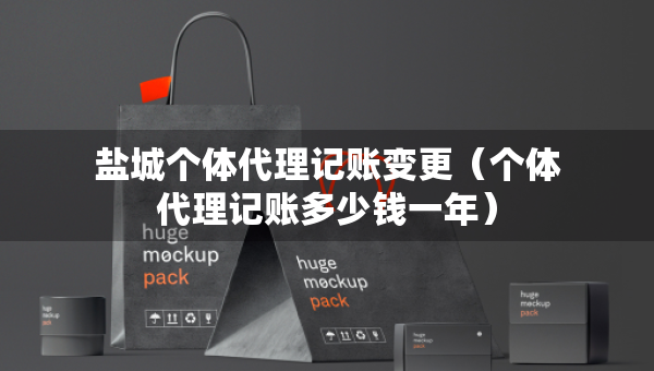 盐城个体代理记账变更（个体代理记账多少钱一年）