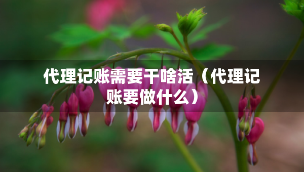 代理记账需要干啥活（代理记账要做什么）