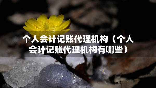 个人会计记账代理机构（个人会计记账代理机构有哪些）