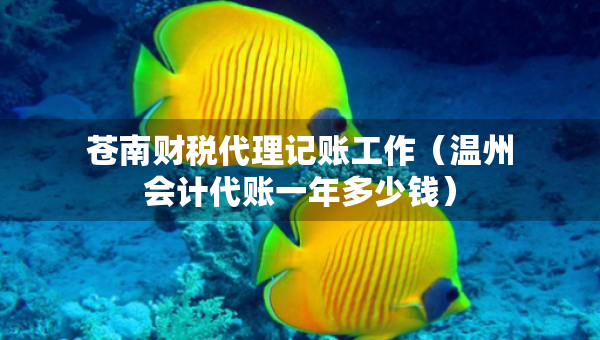 苍南财税代理记账工作（温州会计代账一年多少钱）