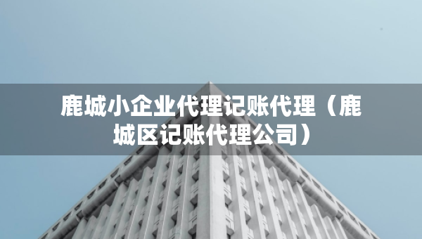鹿城小企业代理记账代理（鹿城区记账代理公司）