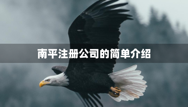 南平注册公司的简单介绍