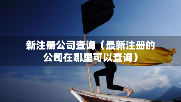 新注册公司查询（最新注册的公司在哪里可以查询）