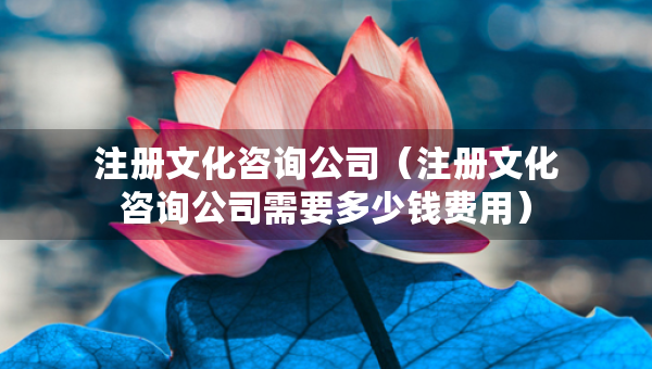 注册文化咨询公司（注册文化咨询公司需要多少钱费用）