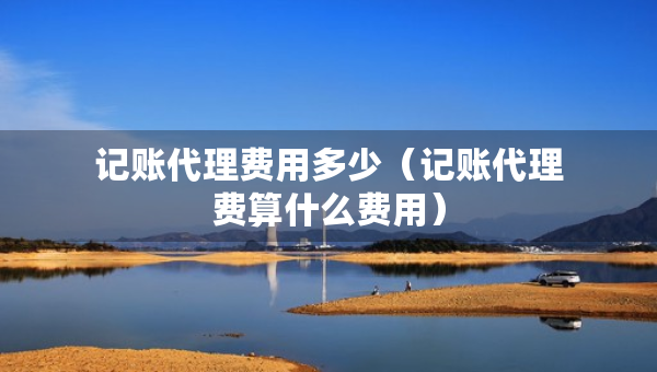 记账代理费用多少（记账代理费算什么费用）