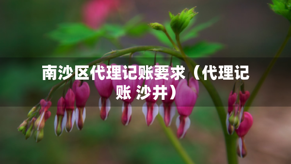 南沙区代理记账要求(代理记账 沙井) 南沙区代理记账要求(代理记账 沙井)