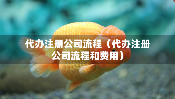 代办注册公司流程（代办注册公司流程和费用）