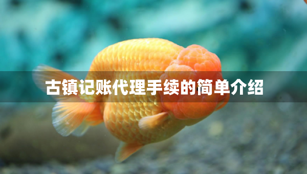 古镇记账代理手续的简单介绍
