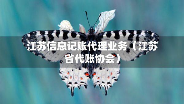 江苏信息记账代理业务（江苏省代账协会）