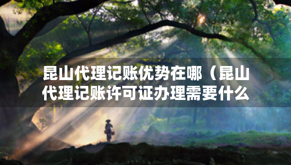 昆山代理记账优势在哪（昆山代理记账许可证办理需要什么条件）