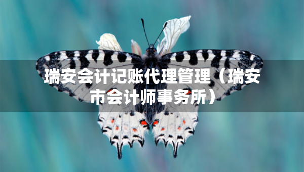 瑞安会计记账代理管理（瑞安市会计师事务所）