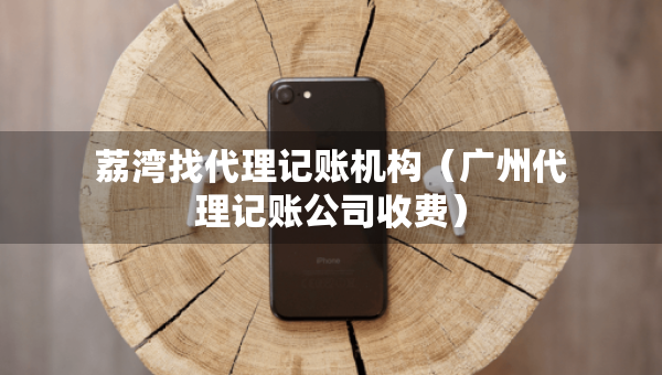 荔湾找代理记账机构（广州代理记账公司收费）