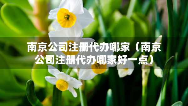 南京公司注册代办哪家（南京公司注册代办哪家好一点）