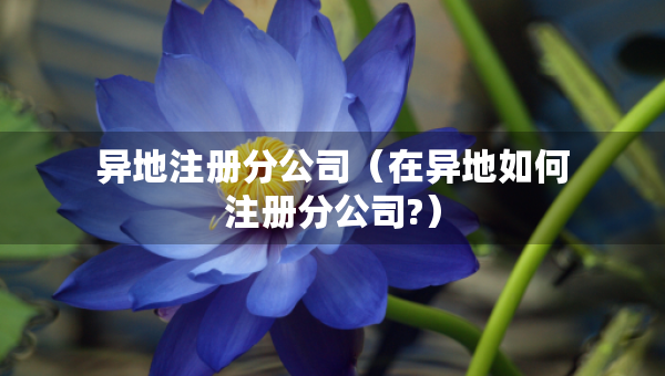 异地注册分公司（在异地如何注册分公司?）