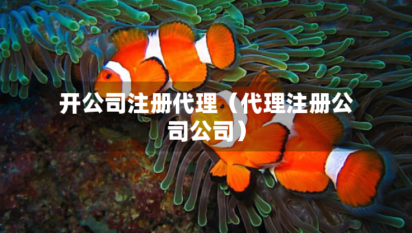 开公司注册代理（代理注册公司公司）