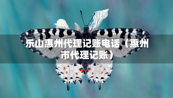 乐山惠州代理记账电话（惠州市代理记账）
