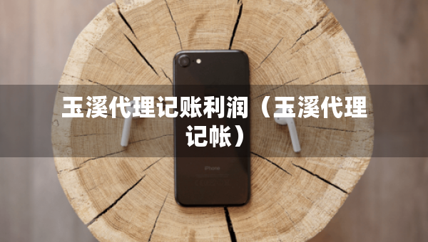 玉溪代理记账利润（玉溪代理记帐）