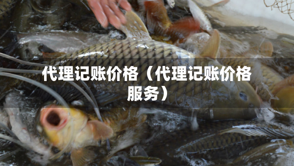 代理记账价格（代理记账价格服务）