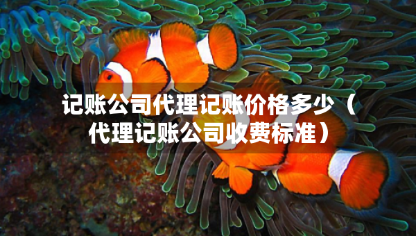 记账公司代理记账价格多少（代理记账公司收费标准）
