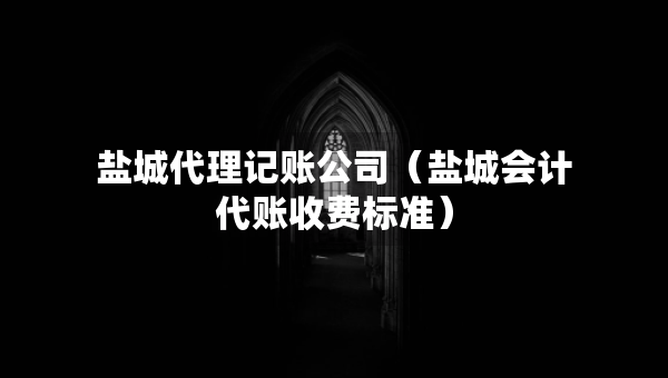 盐城代理记账公司（盐城会计代账收费标准）