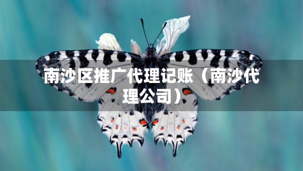 南沙区推广代理记账（南沙代理公司）