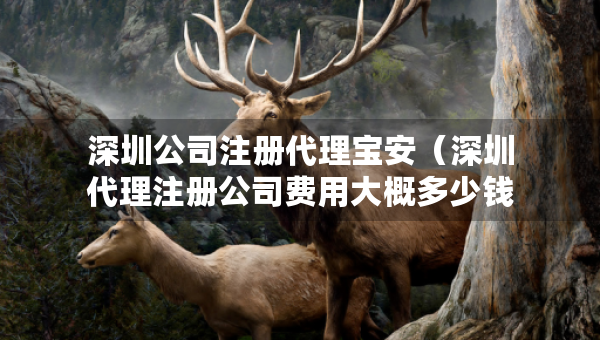深圳公司注册代理宝安（深圳代理注册公司费用大概多少钱）