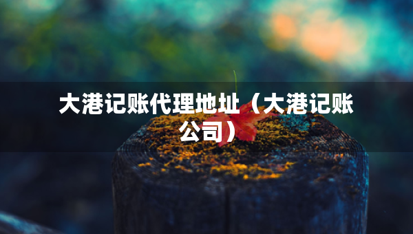 大港记账代理地址（大港记账公司）