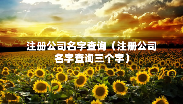 注册公司名字查询（注册公司名字查询三个字）