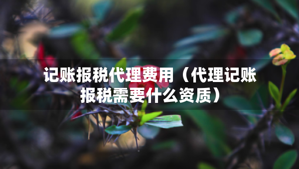 记账报税代理费用（代理记账报税需要什么资质）