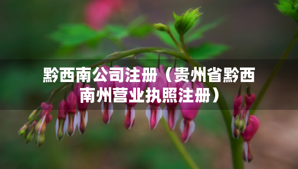 黔西南公司注册（贵州省黔西南州营业执照注册）